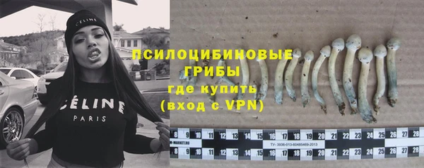 шишки Россошь