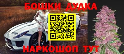 a pvp Краснознаменск