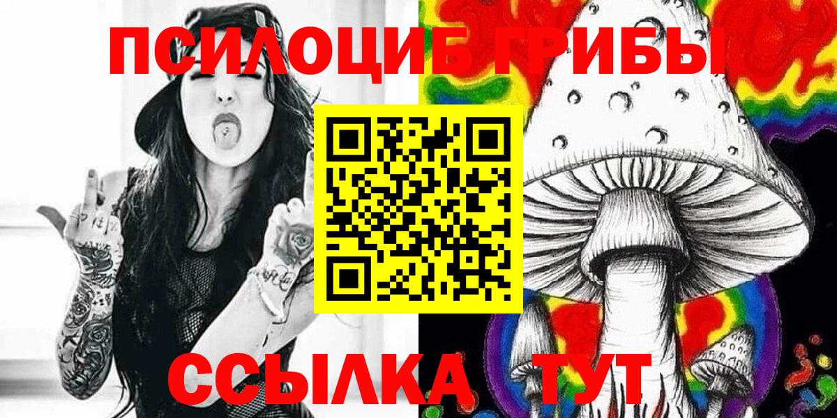 Слободской  Галлюциногенные грибы Psilocybe  наркошоп  Вход с VPN  Псилоцибиновые грибы GOLDEN TEACHER 