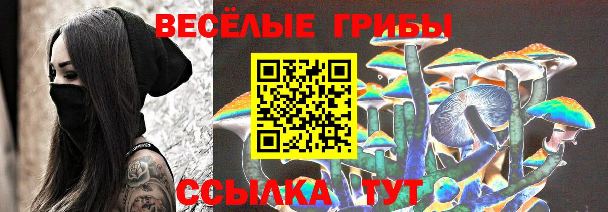 Псилоцибиновые грибы Psilocybine cubensis Слободской